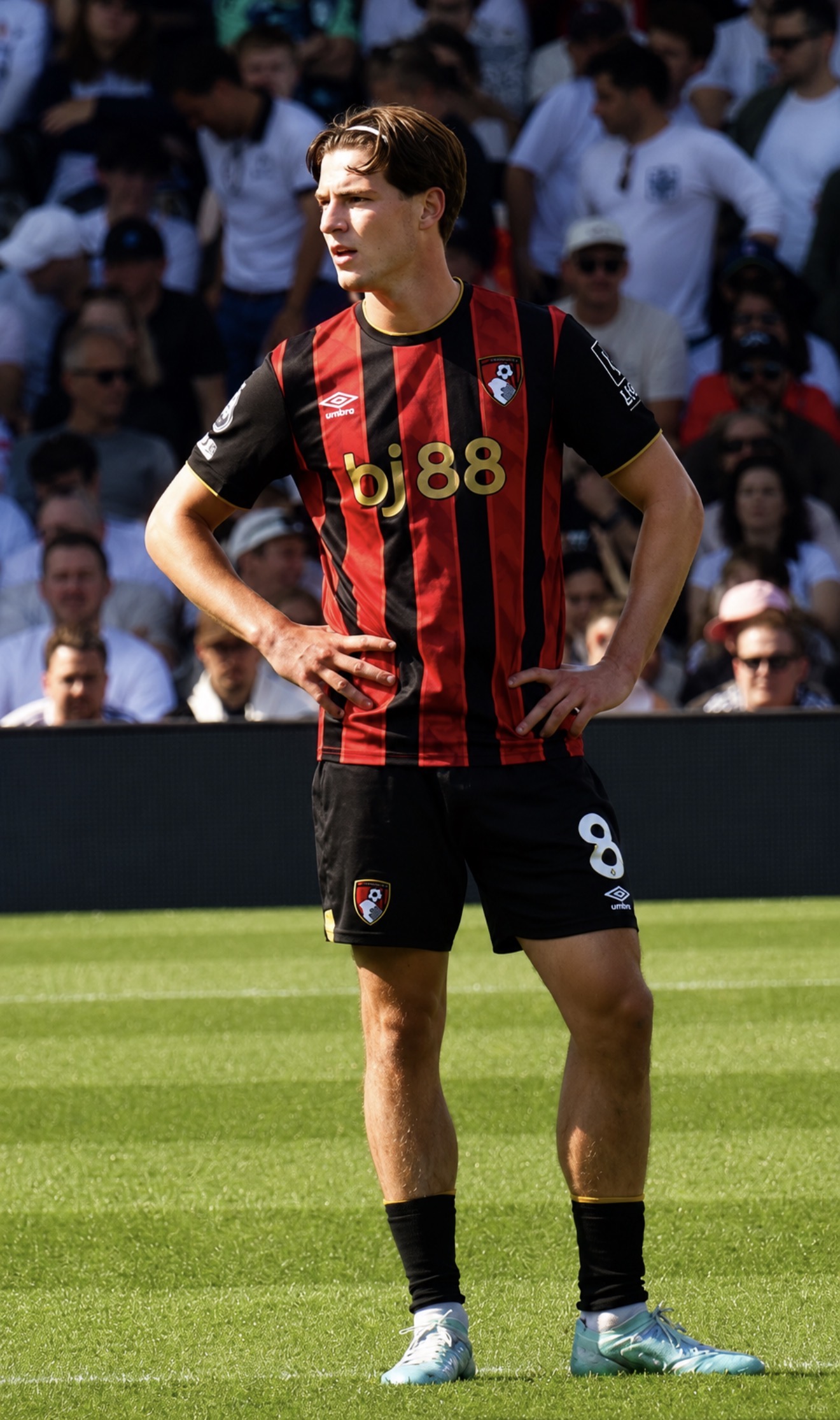Bournemouth traži 80 miliona funti, četiri kluba Premier lige žele Alexa Scotta
